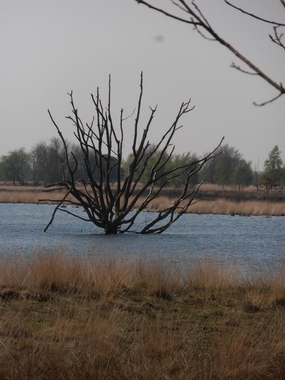 Gezond Boeren Verstand Dalerveen Ngoại thất bức ảnh